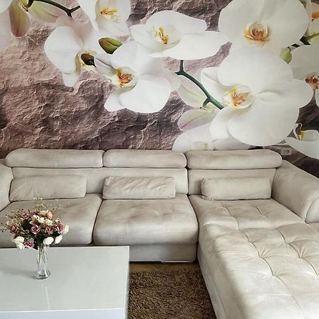 Sunkissed Centre Apartment Vlorë エクステリア 写真