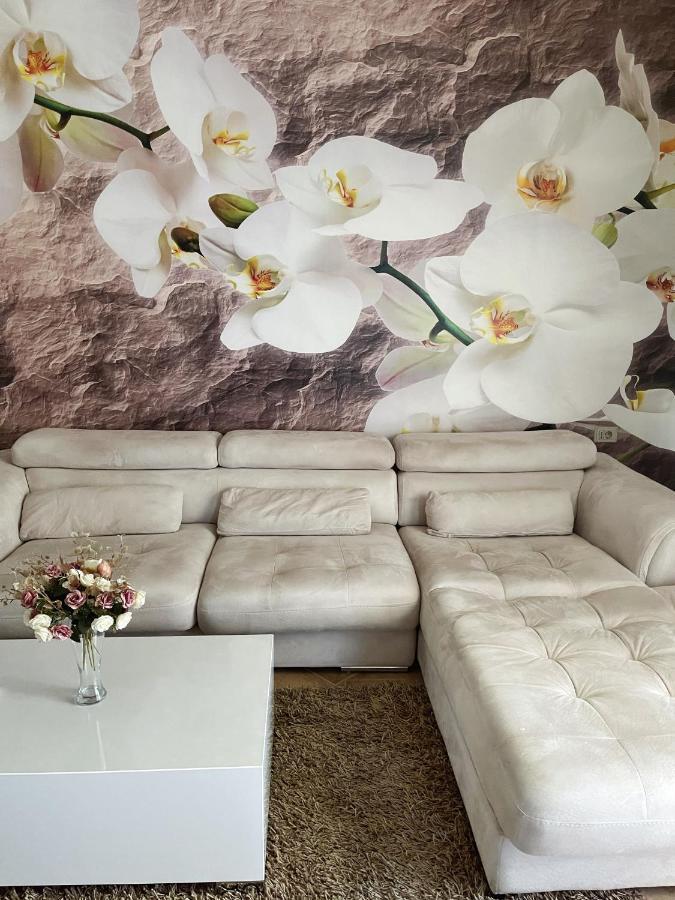 Sunkissed Centre Apartment Vlorë エクステリア 写真
